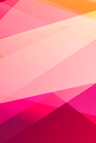 Türk Akademik Sosyal Bilimler Araştırma Dergisi Kapak